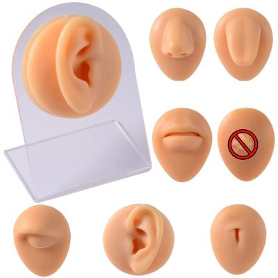 China NUORO CLASSIC Soft Silicone Human Body Part Simulation Model With Display Stand Use For Tattoo Puncture Practice Jewelry Display for sale