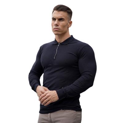 China Slim Fit Fashion Autumn Breathable Solid Breathable Fitness Men's Single Sleeve Cotton T-shirt Polo Shirt Plus Size for sale