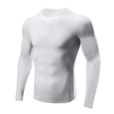 China Hot Sale Breathable Workout Sportswear Long Sleeve Compression Long Sleeve Shirts Men for sale