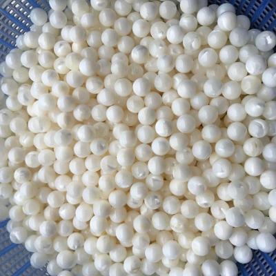 China Pearl White freshwater shell cultured pearl core for pearl farming for sale