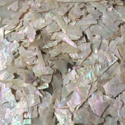 China China Crushed Japanese Abalone Shell Chips/Flakes Nail Art for sale