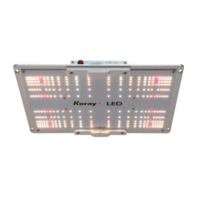 China FLOWER LED GrowLights Full Spectrum LED SF1000 SF-1000 Grow Lamp STRIKE Grow Light Hydroponic for sale