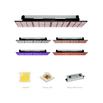 China Seed Starting Replacement Adjustable Spectrum LM301B LED Toplighting 1000W HPS Light Fixture for Greenhouse Lighting and Indoor Breeding for sale