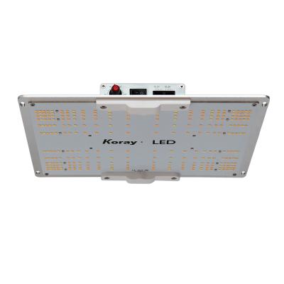 China SF-600 FLOWER sf 600 dimmable sf600 kits 600w indoor growing and commercial grow lights for sale