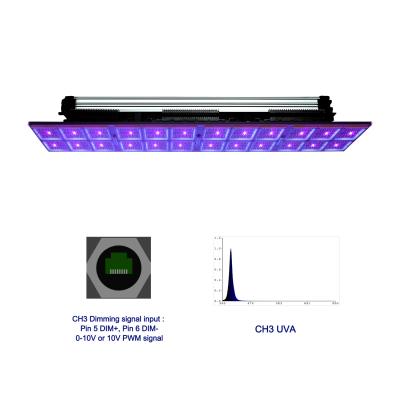 China Seed Starting KORAY Toplighting 4 Channel Adjustable Spectrum 3000k 6500k 660nm UVA 400nm FR730nm LED Grow Light for sale