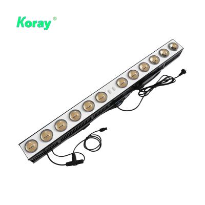 China Greenhouses etc. 500 Watt Greenhouse Medicinal Plant Cultivation Horticulture LED Plant Top Light Lamp for sale