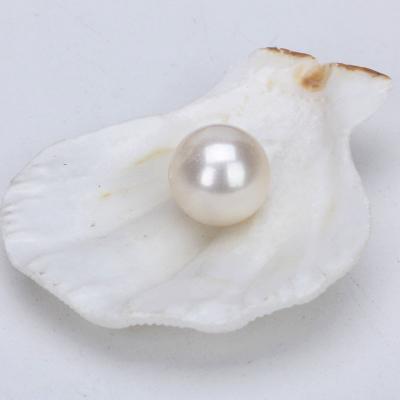 China Wholesale 3A 4A Half Hole Ring Natural Freshwater Around Pearl 2mm-8mm Natural White Color Loose Bead for sale