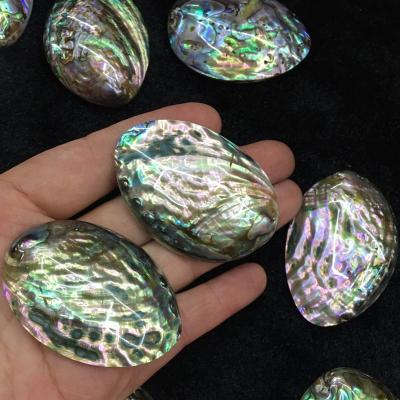 China Natural Abalone Shell Drum Beads Shell Jewelry Accessories Diy Earrings Necklace Freshwater Pearl Abalone Shell for sale