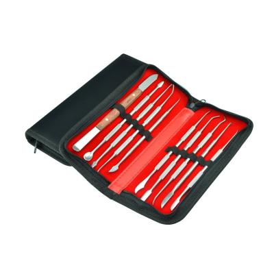 China Eco-friendly Dental Scaler Pick Kit Stainless Steel Wax Carving Tools Set 10PCS for sale