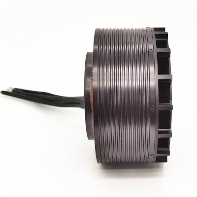 China IP54 N45UH Grade Magnets 30kv 40kv 100v DC Electric Paraglider Motor 20kw for sale