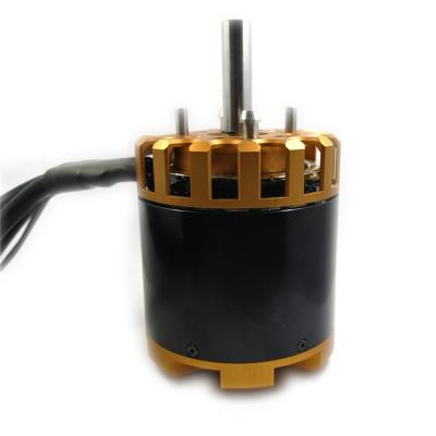 China Reacher 36v 48v 19000rpm widely used drip-proof dc 10kw golden high speed brushless motor for sale