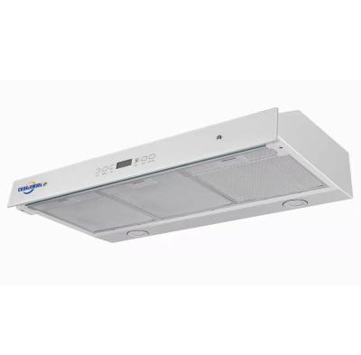 China Outdoor Slim Range Hood Hot Sale High End Hood for sale