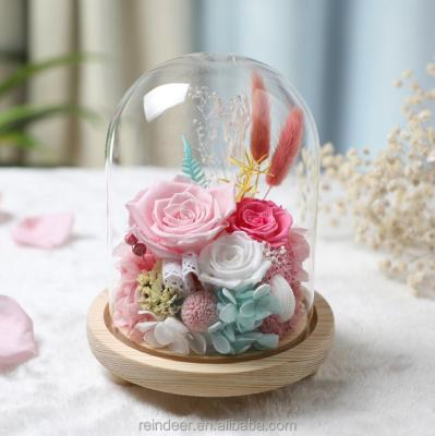 China New Design High Quality Preserved Fresh Flowers Preserved Glass Fresh Flowers As A Gift for sale