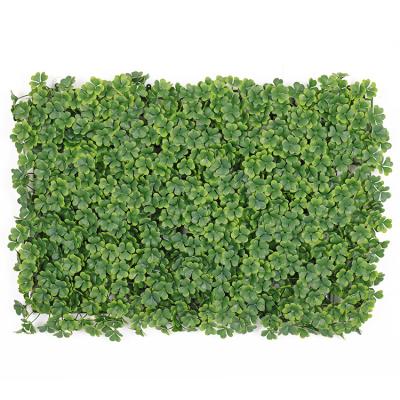 China Decorate Greenery Boxwood Mat Panel For Garden Decor Artificial Wall Wholesale for sale