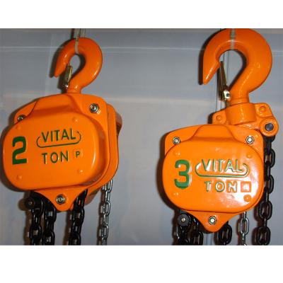 China Essential Parts Wholesale Professional High Quality 3 Ton Chain Block Price Hoisting Crane HSZ-VT for sale