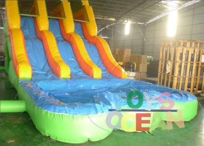 China New Design Double Side Water Slide With Double Slide For Kids And Adults for sale