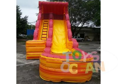 China 0.55mm PVC Vinyl Inflatable Water Slide Double Lane Kids Large Lava Wave Slide for sale