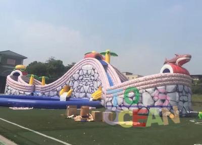 China Commercial Gaint Inflatable Shark Slides Design Big Water Slide With Round Pool For Kids for sale