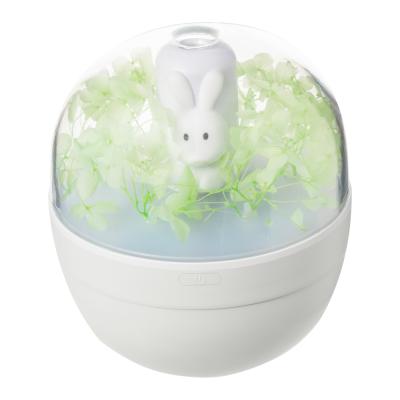 China WYWD Car Preserved Flower Mini Humidifier Battery Operated 220ml USB Humidifier for sale