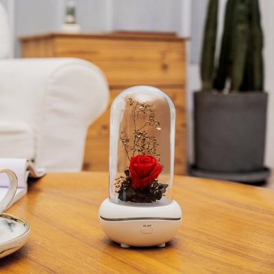 China Hot Sale Hotel Aroma Diffuser Essential Oil Lamp Aroma Diffuser Retail With Eternal Flower for sale