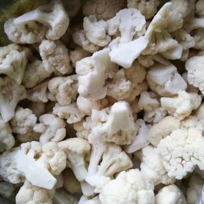 China Frozen Cauliflower FROZEN for sale