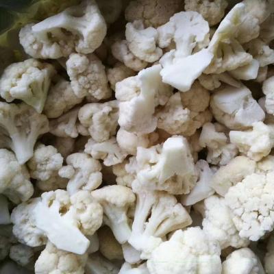 China China Supplier High Quality iqf Healthy Export Cauliflower Frozen Bulk Vegetable for sale