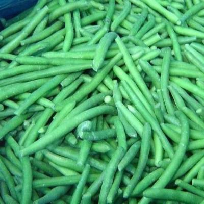 China Whole iqf FROZEN high protein vegetable frozen green healthy beans on sale for sale