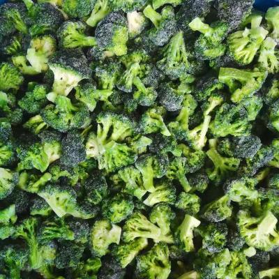 China Competitive price 10kg healthy bulk fresh frozen broccoli iqf green vegetables for sale