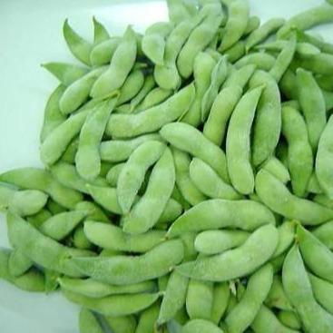 China New Season Edamame Beans Peas Healthy High Quality Frozen Soybeans for sale