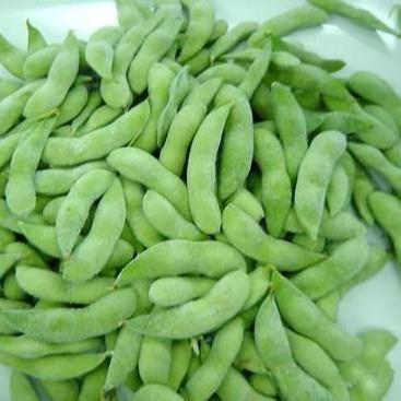 China Healthy Professional Customized Frozen Green Vegetables Soybean Cheap Price for sale