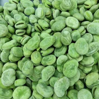 China iqf healthy fresh green vegetables wholesale price frozen fava peeled broad bean for sale