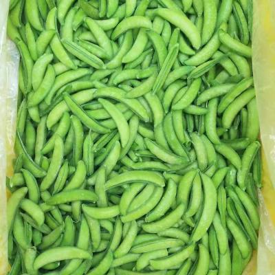 China Bulk healthy premium iqf fresh green sweet instant sugar peas with good price for sale