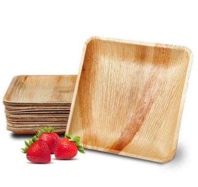 China High Quality Disposable Food Dinner Dishes Square &Round Shape Unbreakable Dishes Dinner Sets Plates Palm Leaf Dishes for sale