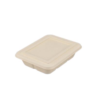 China Disposable Take Away Fast Food Box 100% Biodegradable Disposable Food Containers Bagasse Lunch Box for sale