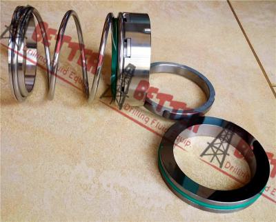 China Mechanical Seal for Mcm-250 Pump, Mission Magnum Pump Seal. John Crane Type1 for sale