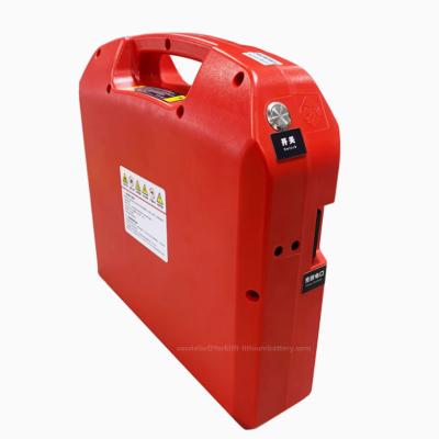 China Heli Forklift Lithium Battery 24v 20AH 30AH 40AH 60AH Pallet Truck Battery for sale