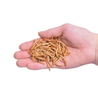 China Viable high quality high protein fresh bulk freeze dried mealworm for sale wholesale pet food for sale