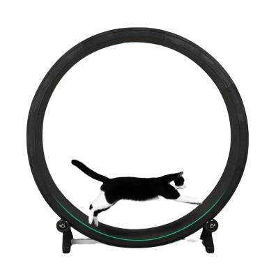 China Viable roda lari Mainan kayu cat exercise kucing wheel for cats running treadmill cat wheel for sale