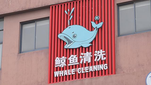 Verified China supplier - Suzhou Whale Cleaning Machinery Co., Ltd.