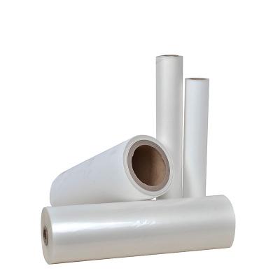 China Moisture Proof Thermal PET Lamination Film Rolls Glossy And Matte for sale