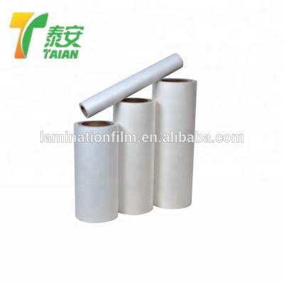 China Double Side Moisture Proof Mylar Polyester Film For Paper Packaging for sale