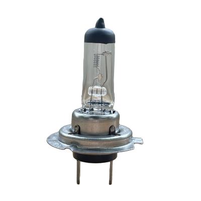 China Factory Super Bright H1 H3 H7 H8 H16 9005 Super White Halogen Bulb / Xenon 12/24V 100W Car Halogen Bulb en venta