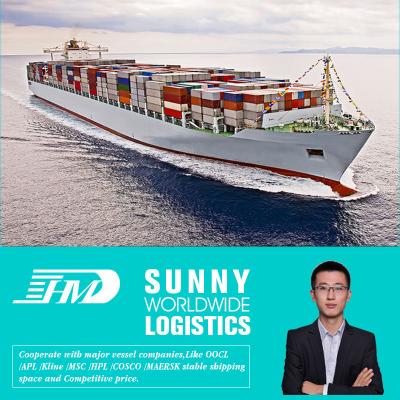 China International Rate Logistics Companies Forwarder Sea Freight Forwarder ddp China Sea Shipping To Germany Sea Freight for sale