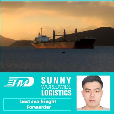 China Sea Freight Forwarder From Guangzhou China To Hamburg Germany With Customs Service Air Freight for sale