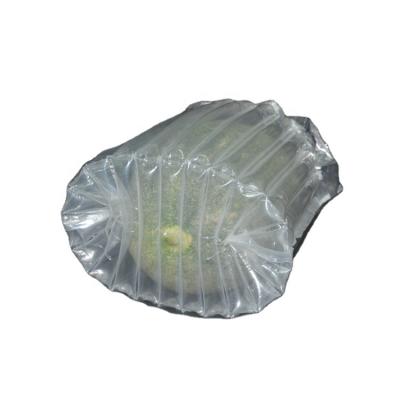 China Finish Air Bags Cushion Bubble Shock Resistance Air Protective Packaging For Cantaloupe And Fresh Dragon Fruit for sale