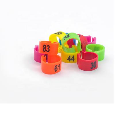 China Viable All Types Racing Australia Rfid Tag Chicken Plastic With Open Numbers Ring for sale