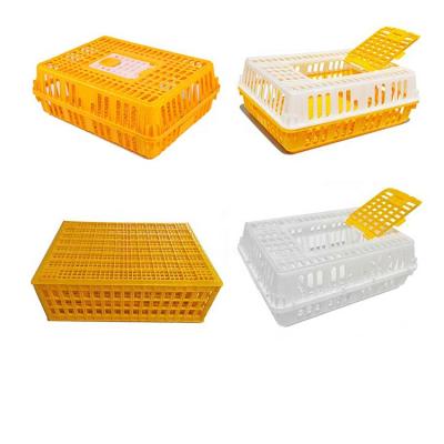 China Grows best china cage chicken layer/gamefowl rooster show box egg cage with price en venta