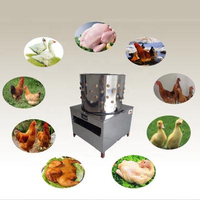 China Hot Selling Full Automatic Chicken Plucking Machine UK Used Wet Plucking Plucker A For Sale à venda