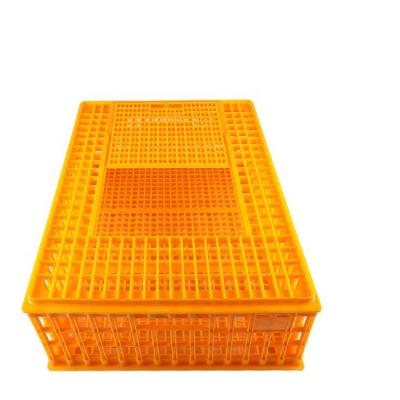 Cina High Quality Plastic Farms Transport Cages For Live Chickens Chicken Transport Cages Poultry Crate in vendita