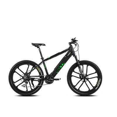 China YANSAN Aluminum Alloy Customized Mountain Electric Bicycle 350W 1000W Motor Rear Dirt Bike M350E for sale